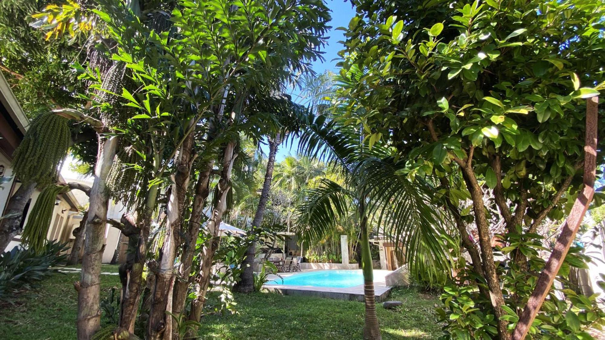 Coliver - Coliving A La Reunion Saint Pierre Εξωτερικό φωτογραφία