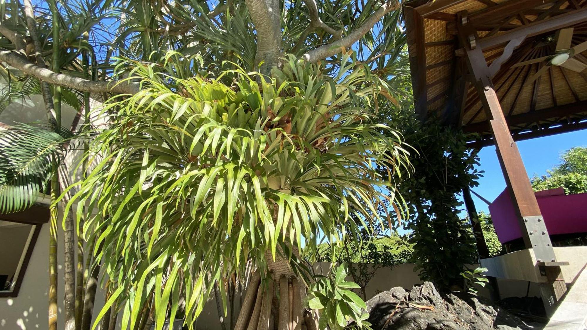 Coliver - Coliving A La Reunion Saint Pierre Εξωτερικό φωτογραφία