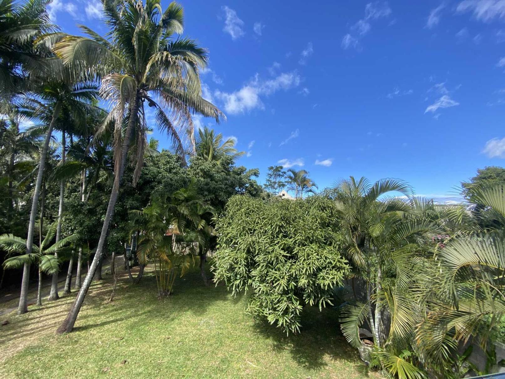 Coliver - Coliving A La Reunion Saint Pierre Εξωτερικό φωτογραφία