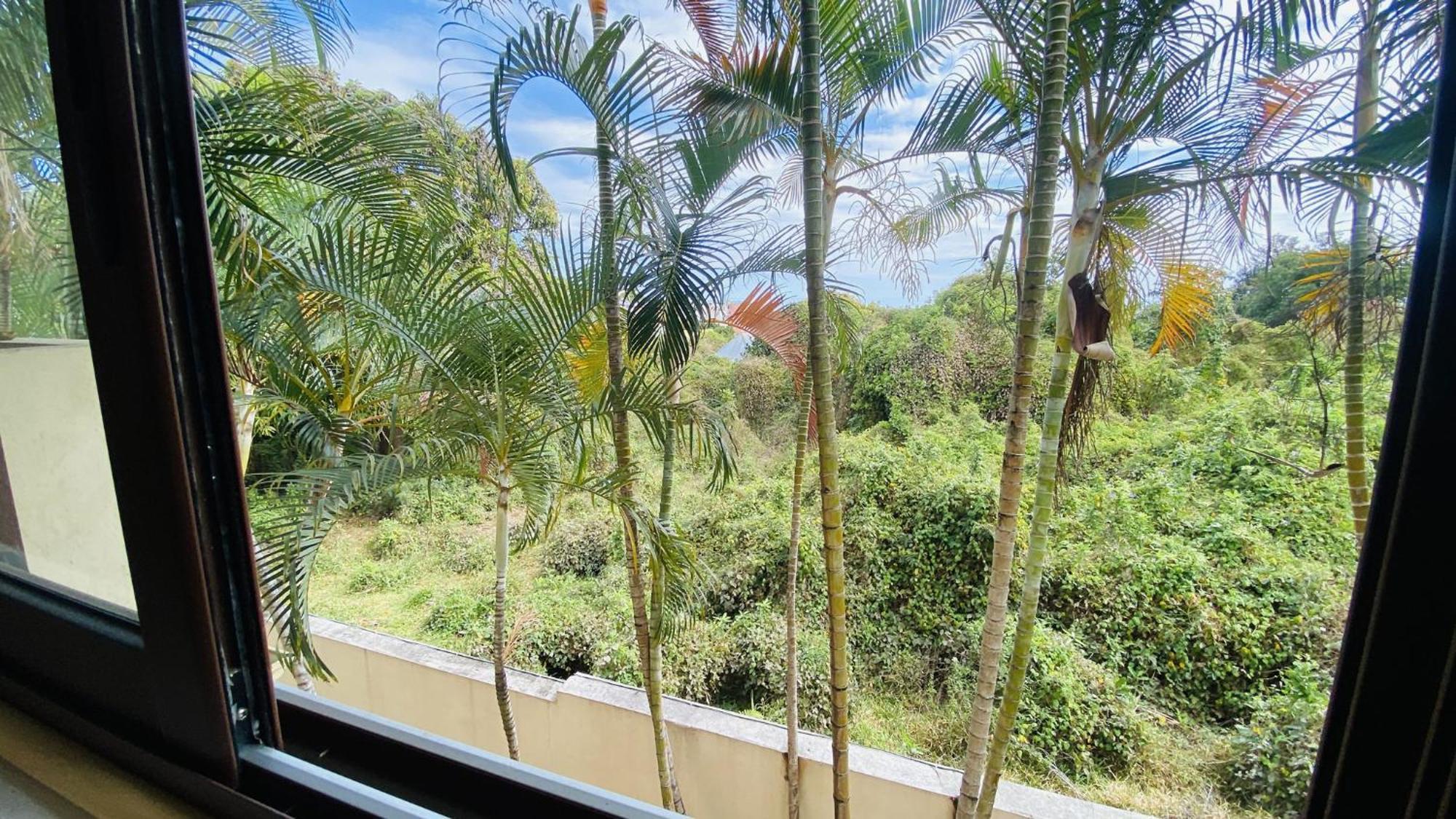Coliver - Coliving A La Reunion Saint Pierre Εξωτερικό φωτογραφία