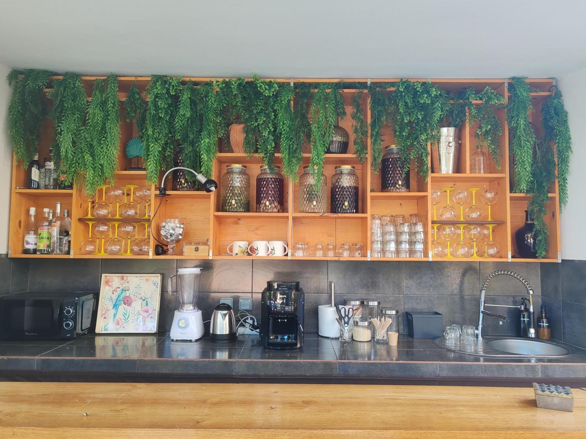Coliver - Coliving A La Reunion Saint Pierre Εξωτερικό φωτογραφία